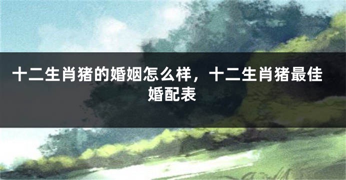 十二生肖猪的婚姻怎么样，十二生肖猪最佳婚配表