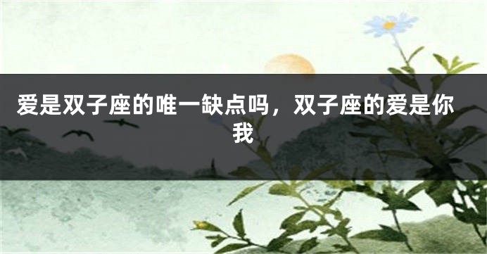 爱是双子座的唯一缺点吗，双子座的爱是你我