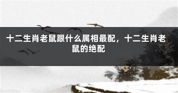 十二生肖老鼠跟什么属相最配，十二生肖老鼠的绝配