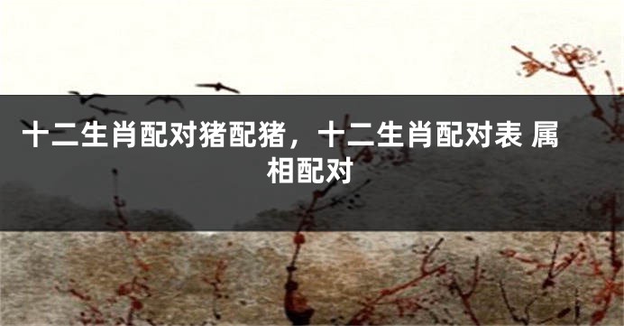 十二生肖配对猪配猪，十二生肖配对表 属相配对