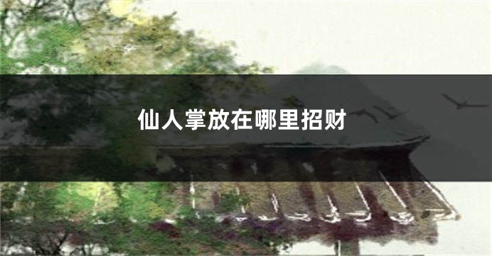 仙人掌放在哪里招财
