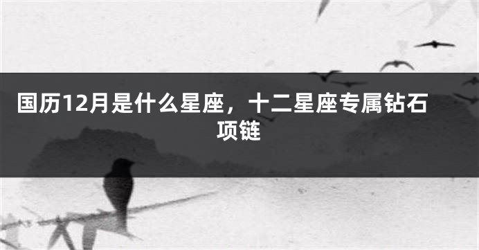 国历12月是什么星座，十二星座专属钻石项链