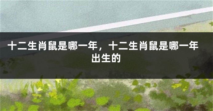 十二生肖鼠是哪一年，十二生肖鼠是哪一年出生的