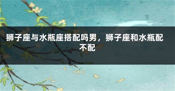 狮子座与水瓶座搭配吗男，狮子座和水瓶配不配