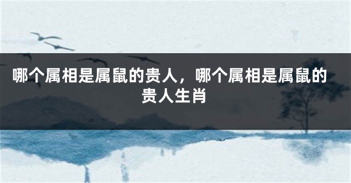 哪个属相是属鼠的贵人，哪个属相是属鼠的贵人生肖