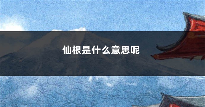仙根是什么意思呢