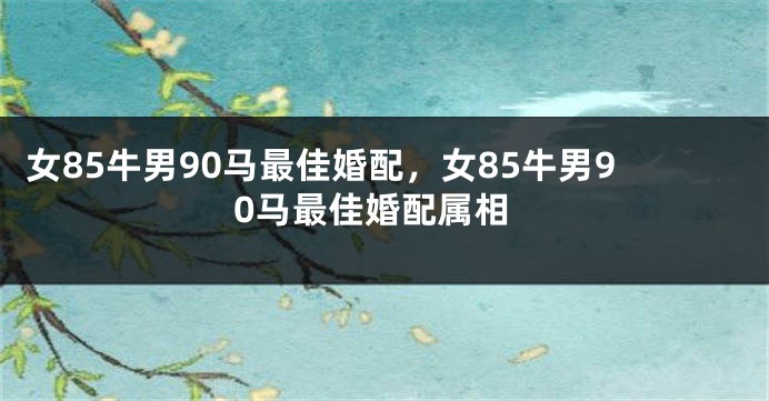 女85牛男90马最佳婚配，女85牛男90马最佳婚配属相