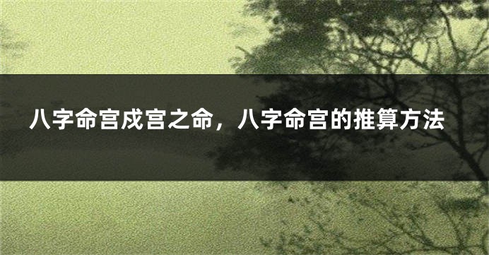 八字命宫戍宫之命，八字命宫的推算方法