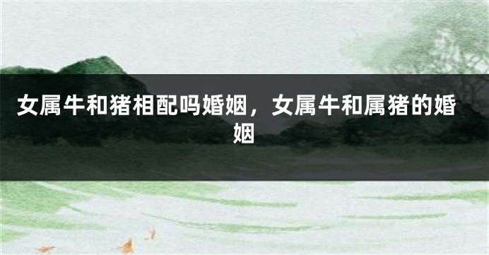 女属牛和猪相配吗婚姻，女属牛和属猪的婚姻