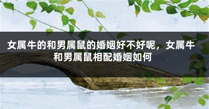女属牛的和男属鼠的婚姻好不好呢，女属牛和男属鼠相配婚姻如何