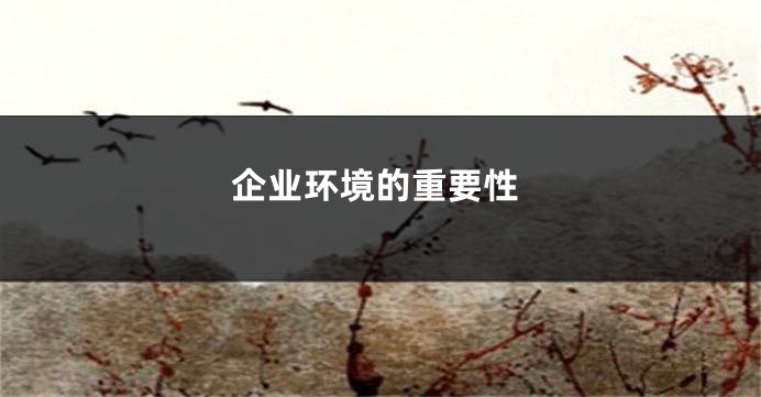 企业环境的重要性