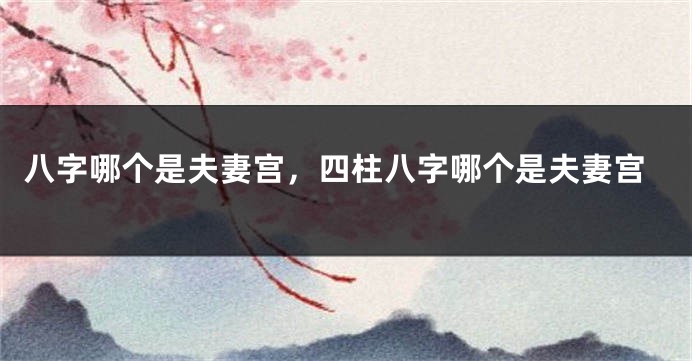 八字哪个是夫妻宫，四柱八字哪个是夫妻宫