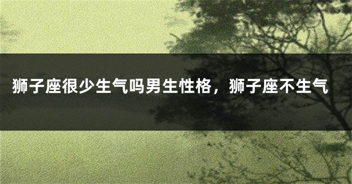 狮子座很少生气吗男生性格，狮子座不生气