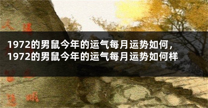 1972的男鼠今年的运气每月运势如何，1972的男鼠今年的运气每月运势如何样