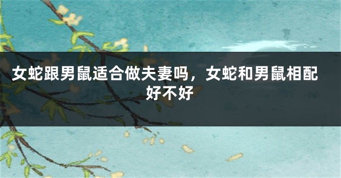 女蛇跟男鼠适合做夫妻吗，女蛇和男鼠相配好不好