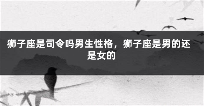 狮子座是司令吗男生性格，狮子座是男的还是女的