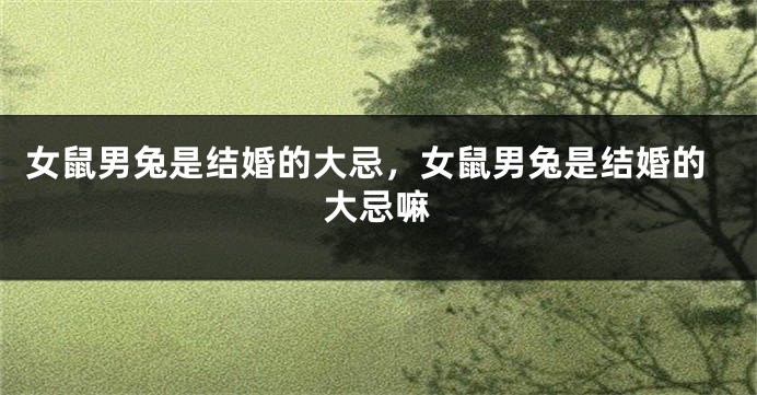 女鼠男兔是结婚的大忌，女鼠男兔是结婚的大忌嘛