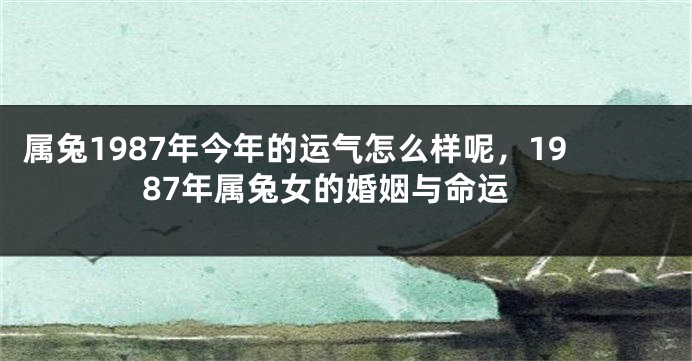 属兔1987年今年的运气怎么样呢，1987年属兔女的婚姻与命运