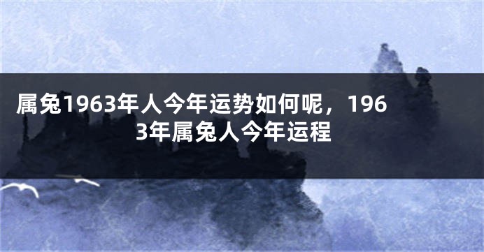 属兔1963年人今年运势如何呢，1963年属兔人今年运程