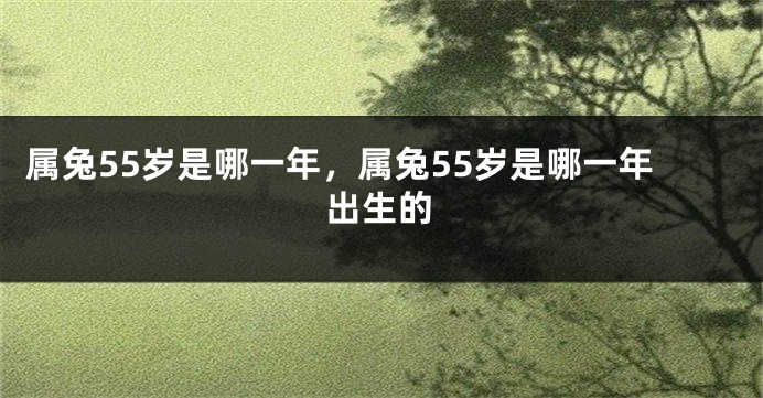 属兔55岁是哪一年，属兔55岁是哪一年出生的