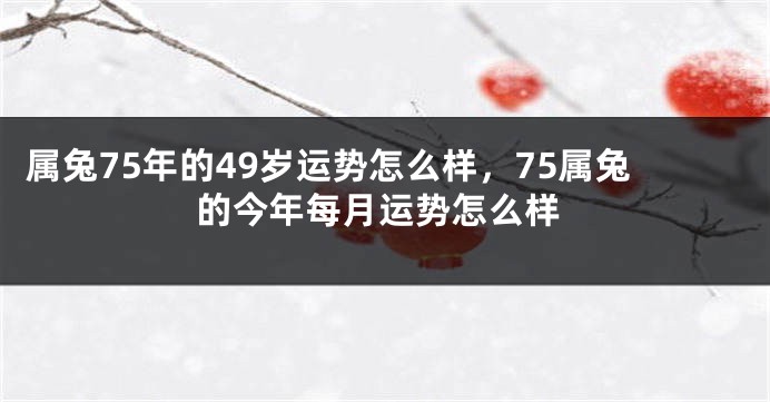 属兔75年的49岁运势怎么样，75属兔的今年每月运势怎么样