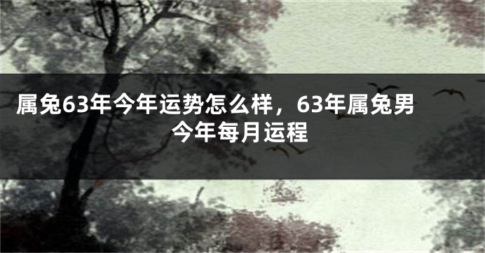 属兔63年今年运势怎么样，63年属兔男今年每月运程