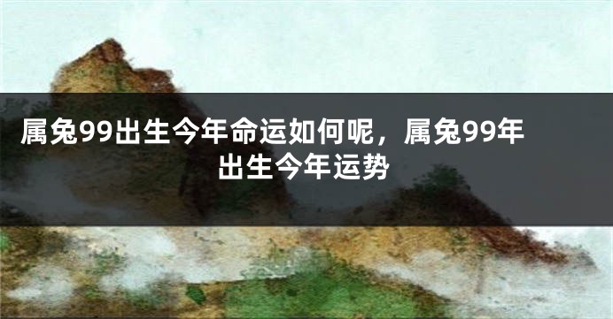 属兔99出生今年命运如何呢，属兔99年出生今年运势