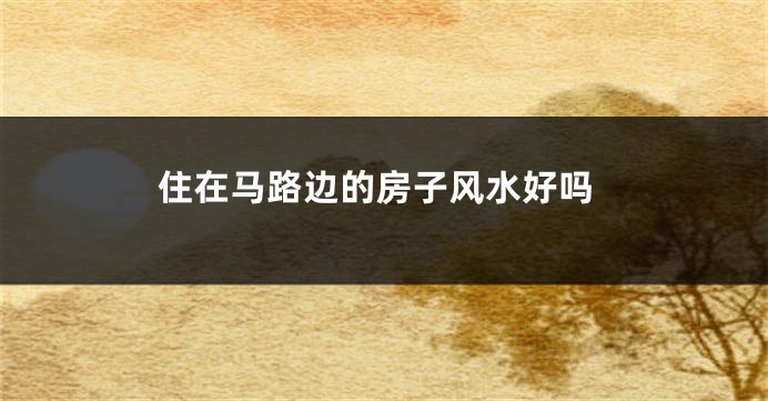 住在马路边的房子风水好吗