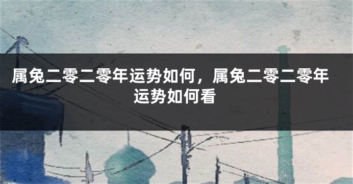 属兔二零二零年运势如何，属兔二零二零年运势如何看