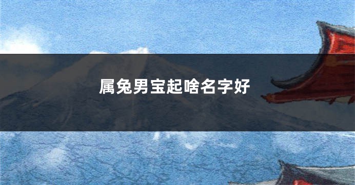 属兔男宝起啥名字好