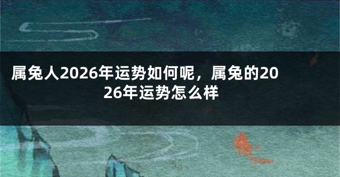 属兔人2026年运势如何呢，属兔的2026年运势怎么样