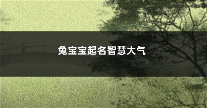 兔宝宝起名智慧大气