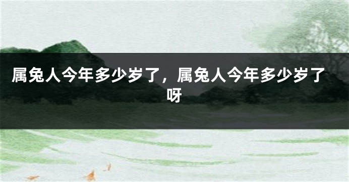 属兔人今年多少岁了，属兔人今年多少岁了呀