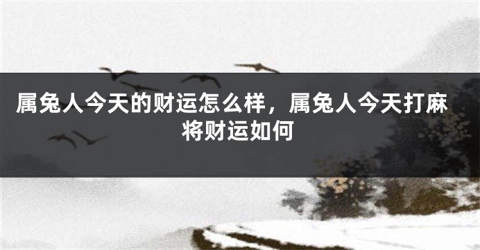 属兔人今天的财运怎么样，属兔人今天打麻将财运如何