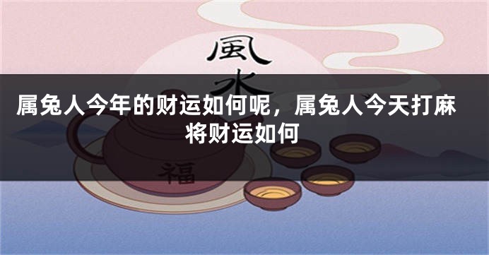 属兔人今年的财运如何呢，属兔人今天打麻将财运如何