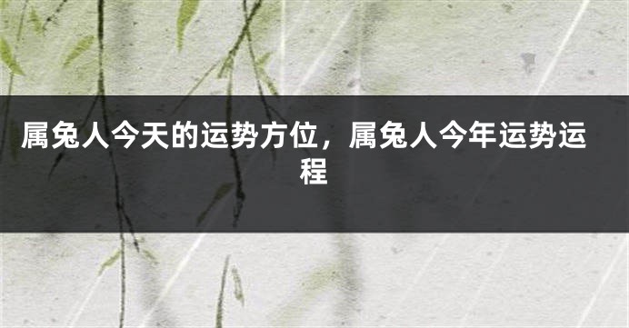 属兔人今天的运势方位，属兔人今年运势运程