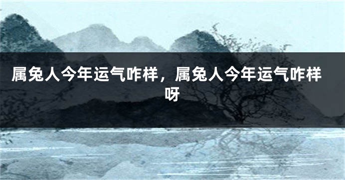 属兔人今年运气咋样，属兔人今年运气咋样呀