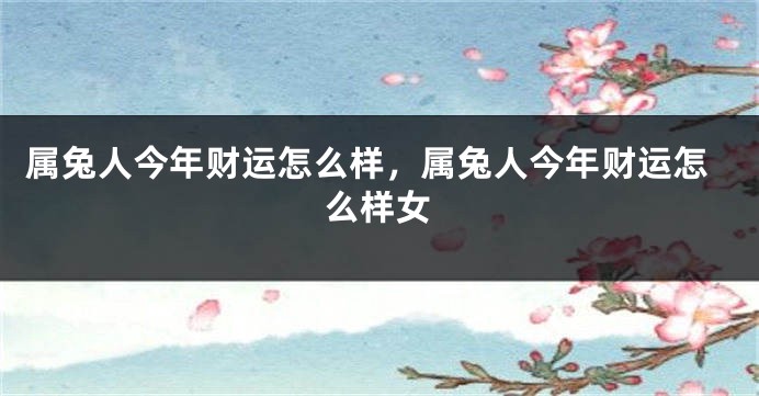 属兔人今年财运怎么样，属兔人今年财运怎么样女