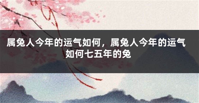 属兔人今年的运气如何，属兔人今年的运气如何七五年的兔