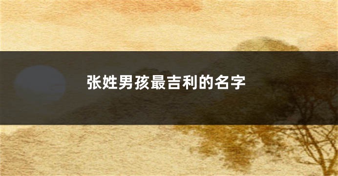 张姓男孩最吉利的名字
