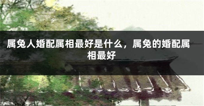 属兔人婚配属相最好是什么，属兔的婚配属相最好
