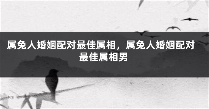 属兔人婚姻配对最佳属相，属兔人婚姻配对最佳属相男