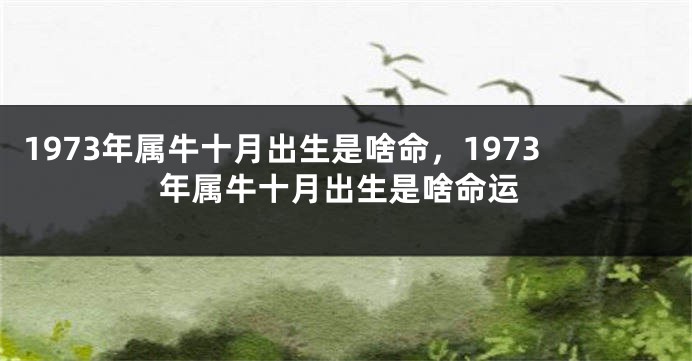 1973年属牛十月出生是啥命，1973年属牛十月出生是啥命运