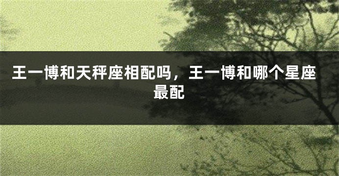 王一博和天秤座相配吗，王一博和哪个星座最配
