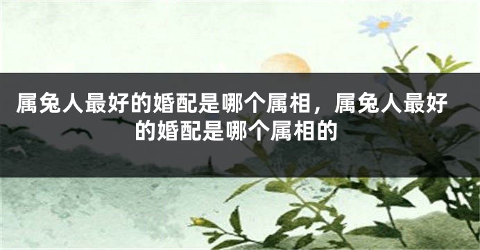 属兔人最好的婚配是哪个属相，属兔人最好的婚配是哪个属相的