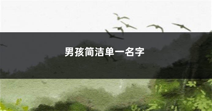 男孩简洁单一名字