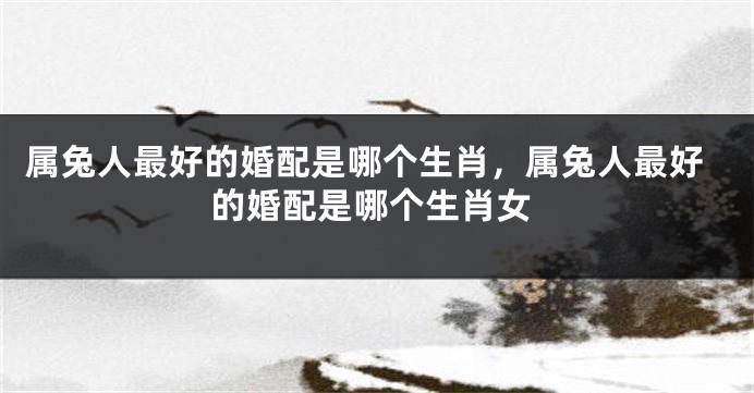 属兔人最好的婚配是哪个生肖，属兔人最好的婚配是哪个生肖女