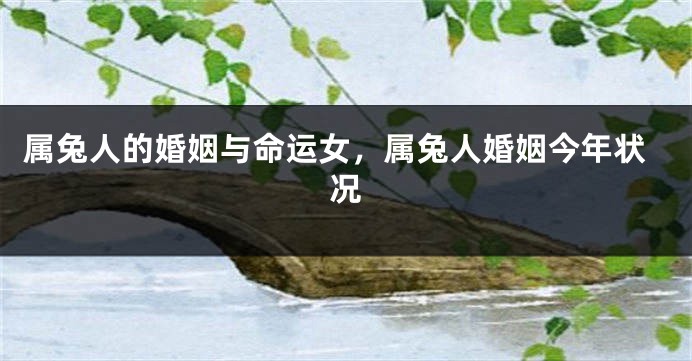 属兔人的婚姻与命运女，属兔人婚姻今年状况