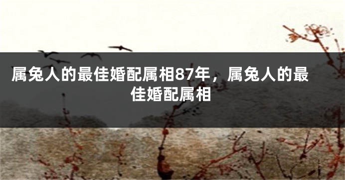 属兔人的最佳婚配属相87年，属兔人的最佳婚配属相
