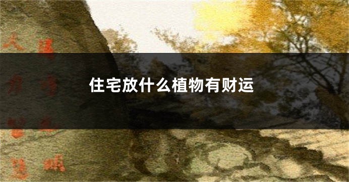 住宅放什么植物有财运